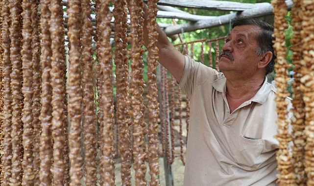 Elazığ'da  'Orcik' mesaisi de başladı