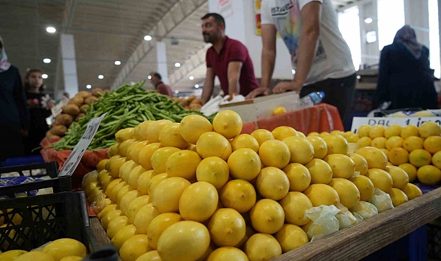 Erzincan'da limon fiyatı yüzleri güldürdü
