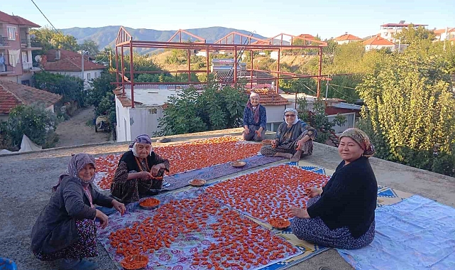 "Ev tarhanası ye uzun yaşa"