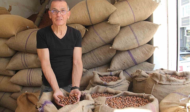 Fındık fiyatı 7 lira düşüşle 123 liraya geriledi