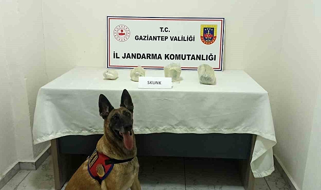 Gaziantep'te 22 şüpheli hakkında yasal işlem yapılırken 500 kilo kaçak tütün ele geçirildi