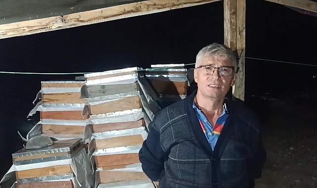 Her akşam yanına gelen tilkileri elleriyle besliyor