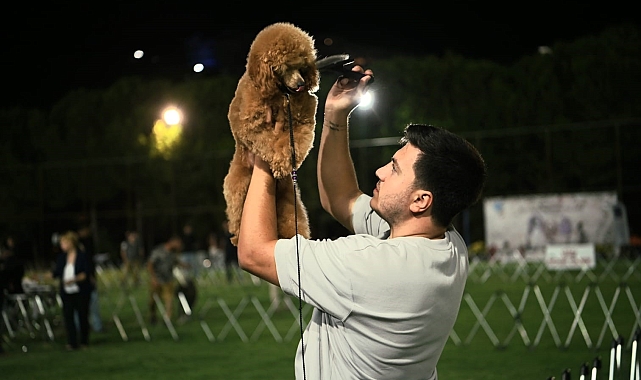 'International Dog Show' sona erdi