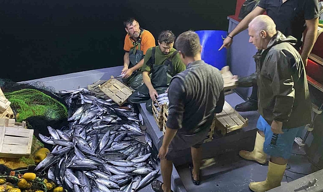 İstanbul'da sezonun ilk balıkları avlandı