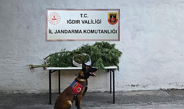 Jandarma Komutanlığı'ndan uyuşturucu operasyonu