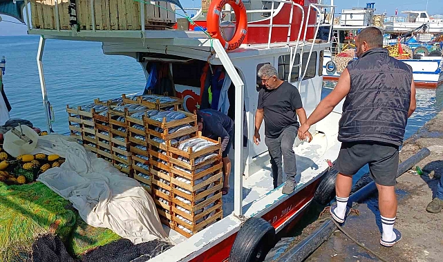 Kartal'da Bir Markette Palet Hırsızlığı Kamerada