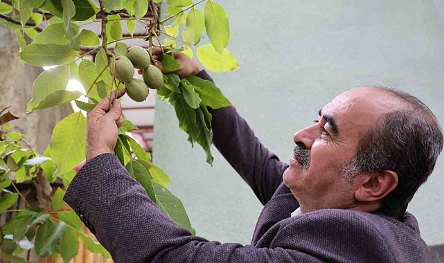"Küresel ısınma kapımızı çalmadı, içeriye girdi"