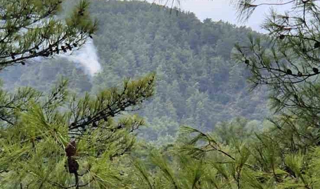 Muğla'da sağanak yağışların ardından yıldırım kaynaklı orman yangınları meydana geldi