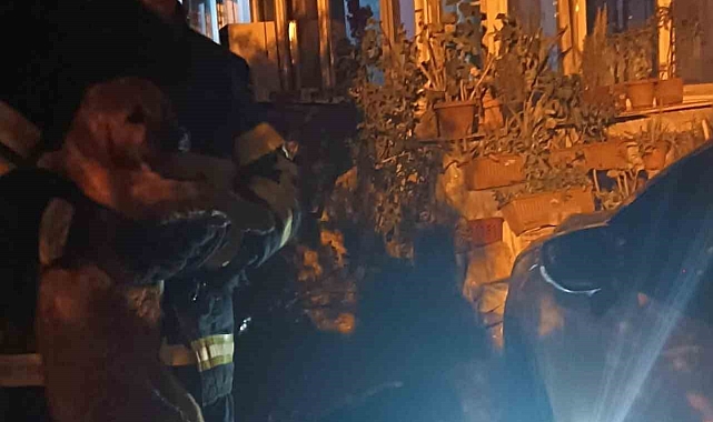 Otomobilin altında sıkışarak mahsur kalan yavru köpeği itfaiye kurtardı