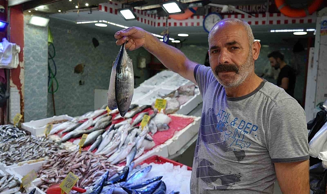 Palamut Rusya'ya kaçması nedeniyle fiyatı 120 TL'ye yükseldi