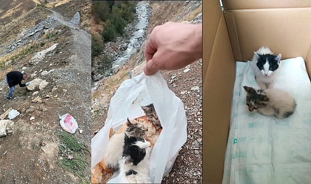 Poşetin içine konularak ölüme terk edildiler