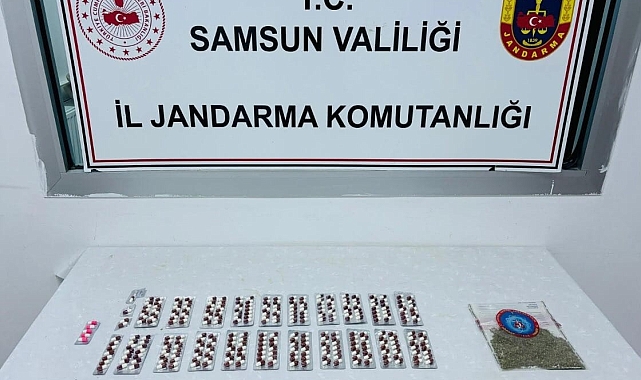 Samsun'da düzenlenen uyuşturucu operasyonunda 2 kişi gözaltına alındı