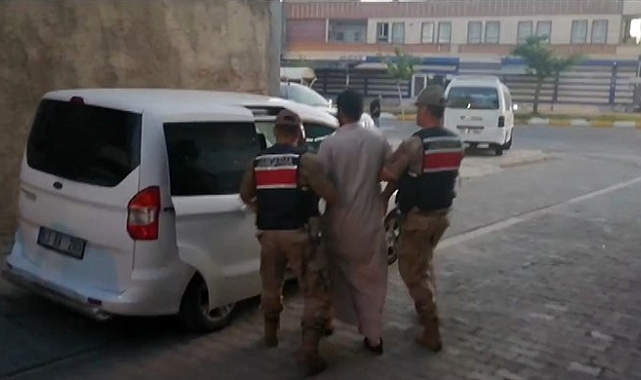 Şanlıurfa merkezli 3 ilde düzenlenen terör operasyonunda 6 zanlı yakalandı