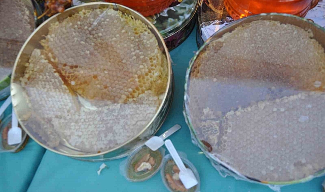 Sason balı açık artırmayla 1 kilosu 300 bin liradan satıldı