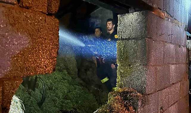 Van'da samanlık ve ahırda çıkan yangın söndürüldü
