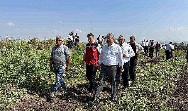 Yer fıstığı hasadı başladı