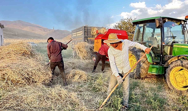 Yüksekova'da çiftçiler binbir zahmetle biçtikleri otu toplayarak kış hazırlığına hız verdiler
