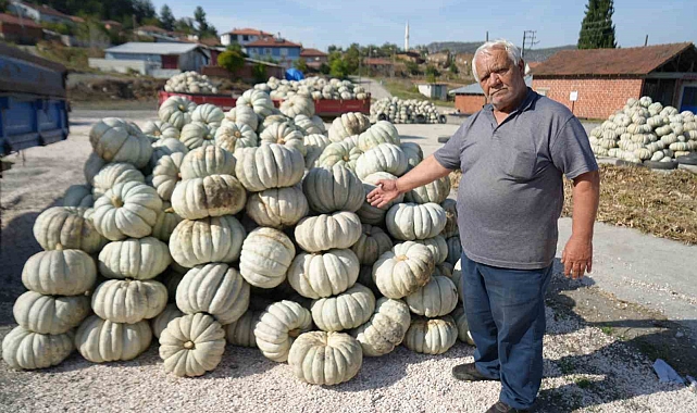 25 yıl önce deneme amaçlı ekilen kestane, şimdi 40 şehre satıyorlar