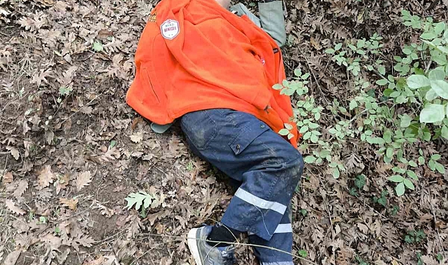 82 yaşındaki adam, 16 saat sonra ormanlık alanda bulundu