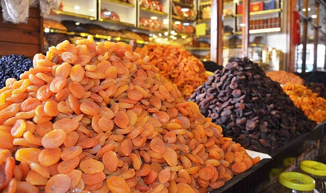 9 bin ton kuru kayısı ihracatı gerçekleştirilerek 45 milyon dolar gelir elde edildi