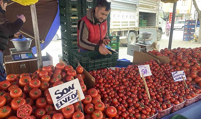Bahçe domateslerine esnaf 'Son elveda' dedi