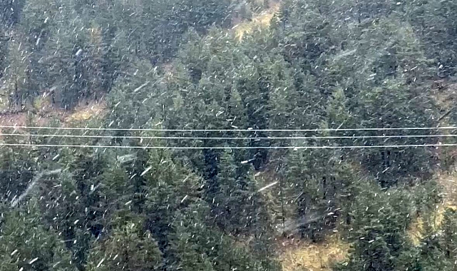Bolu'da kar yağışı