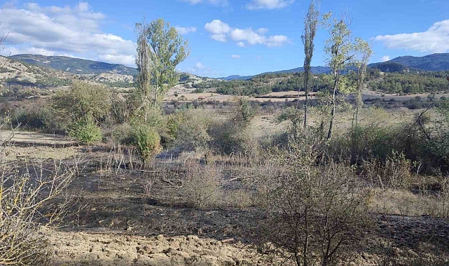 Bolu'da ormana yakın bir alanda çıkan ot yangını, söndürüldü