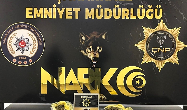 Çanakkale'de yapılan uyuşturucu operasyonunda 1 kişi tutuklandı