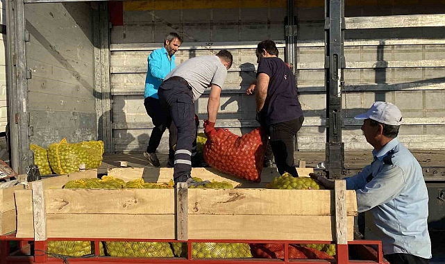 Çiftçiler, hasat ettikleri ürünleri tartmak için uzun sıralar oluşturuyor