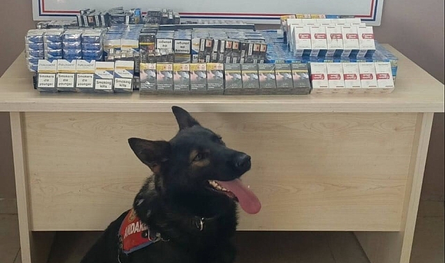 Durdurulan kamyonda yapılan aramalarda 640 paket kaçak sigara bulundu