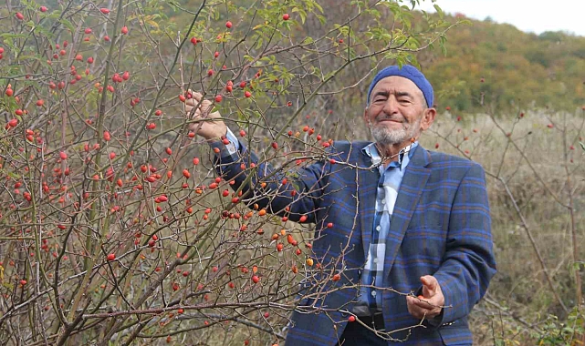 Fazla tüketildiğinde zehir oluyor