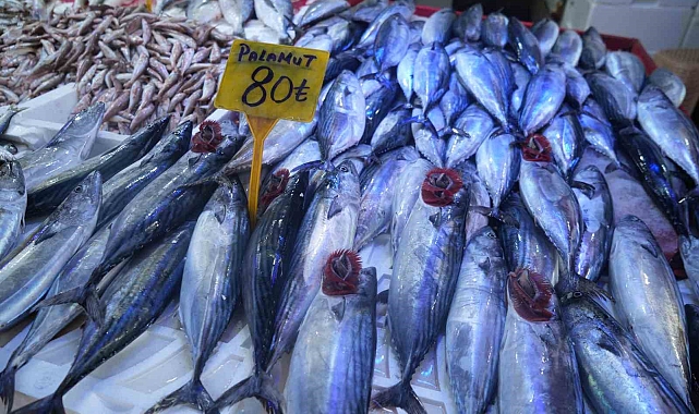Geçen hafta tanesi 150 TL'den satılan kiloluk palamudun tanesi 80 TL'ye düştü