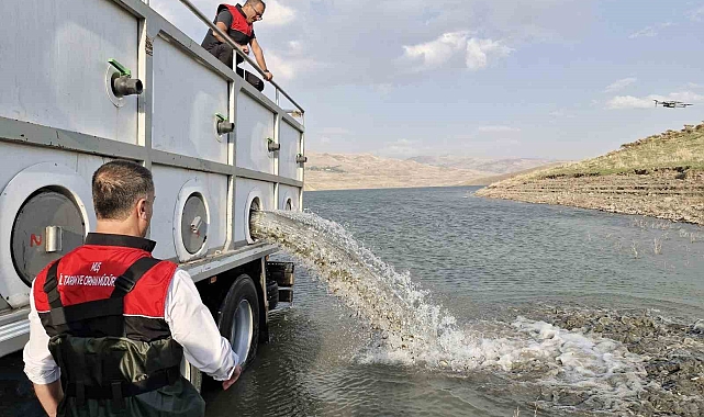 Göl ve baraj göletlerine 4 milyon sazan balığı yavrusu bırakıldı