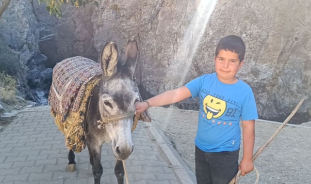 Homurlu Şelalesi'ne gelen misafirleri eşekle gezdirerek okul harçlığını çıkartıyor