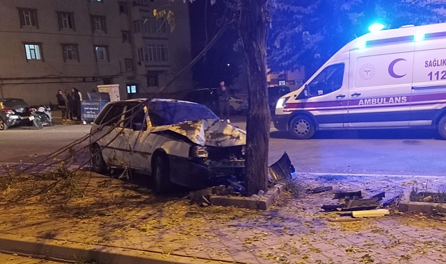 Iğdır'da trafik kazası; otomobil ağaca çarptı 1 yaralı!