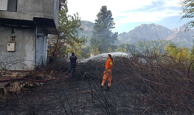 İş yerinden çıkan yangın palmiyeye sıçradı