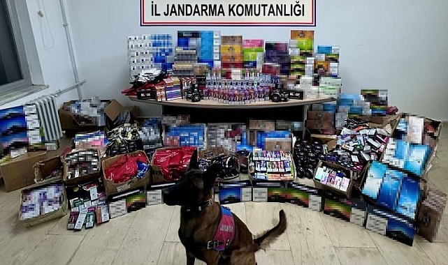 Jandarma ekiplerince durdurulan bir kargo firmasına ait araçta kaçak ürün yakalandı