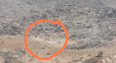 Karakoyunlu'da tarlasında giden çiftçi üç tane ayıyla karşılaştı!