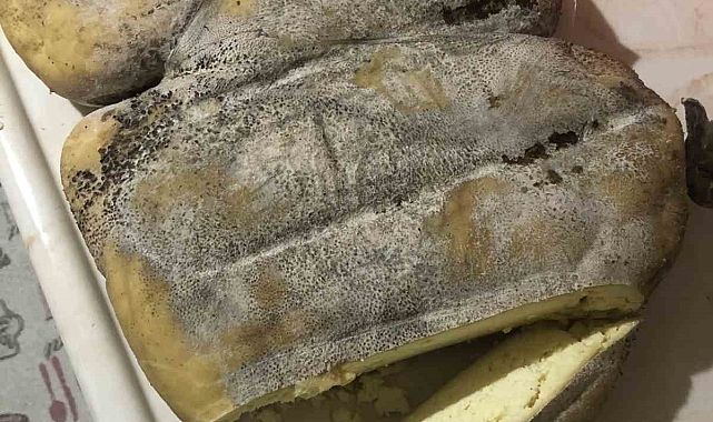 Karın Kaymağı Peyniri coğrafi işaret yolunda
