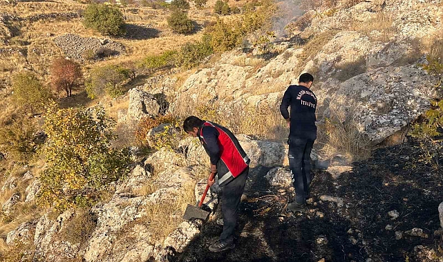 Mardin'de henüz belirlenemeyen bir nedenle ot yangını çıktı