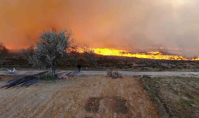 Mısır tarlası ve merada korkutan yangın