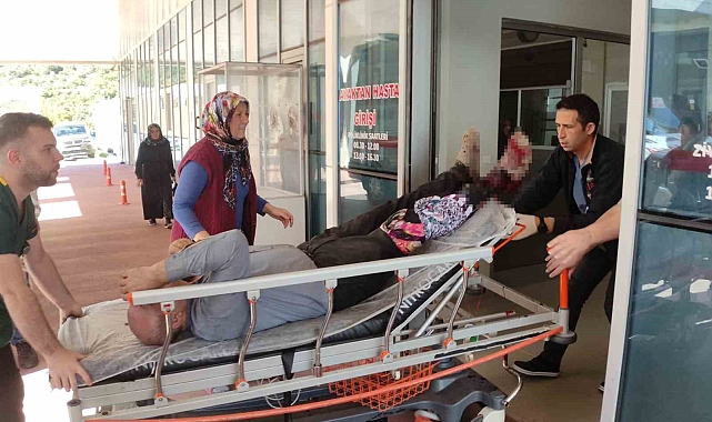 Odun keserken bacağını kesti