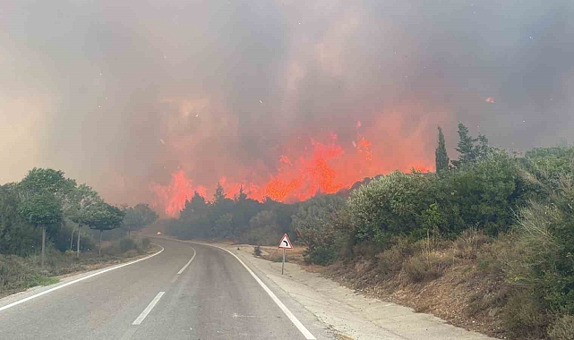 Ormanlara giriş yasağı 30 Kasım'a kadar uzatıldı