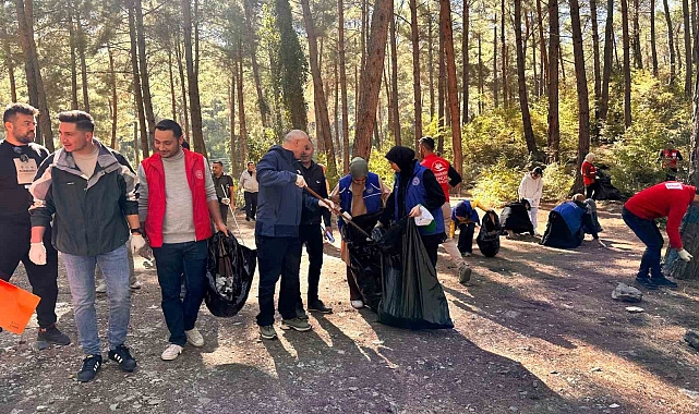 Ormanlık alanlar temizlendi