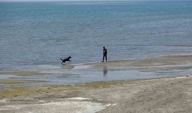Rojin için AFAD'dan köpekli arama