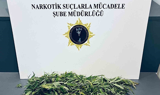 Samsun'da düzenlenen uyuşturucu operasyonunda 4 kişi gözaltına alındı