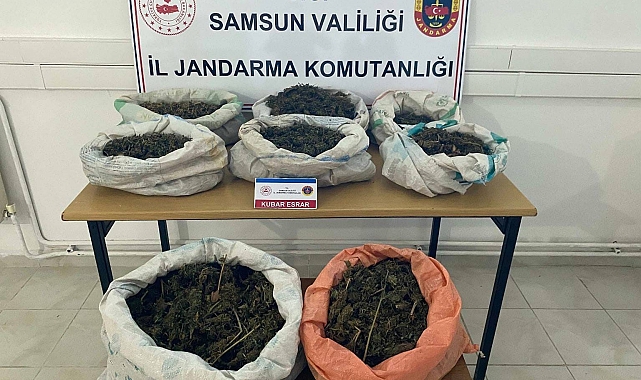 Samsun'da ormanlık alanda çadır içinde  8,5 kilo esrar ele geçirildi