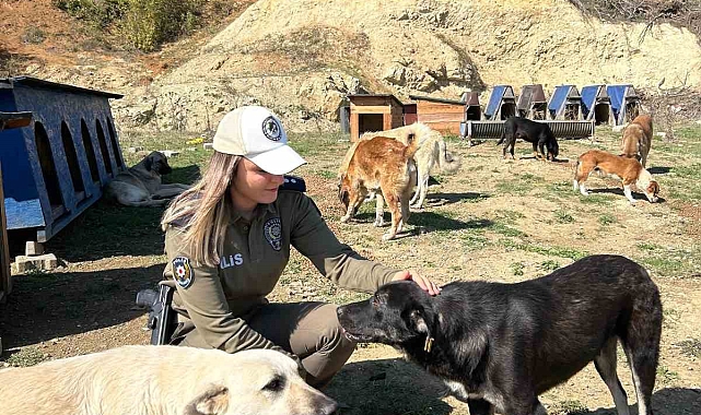 Samsun'da, Sokak hayvanlarına mama desteği verildi