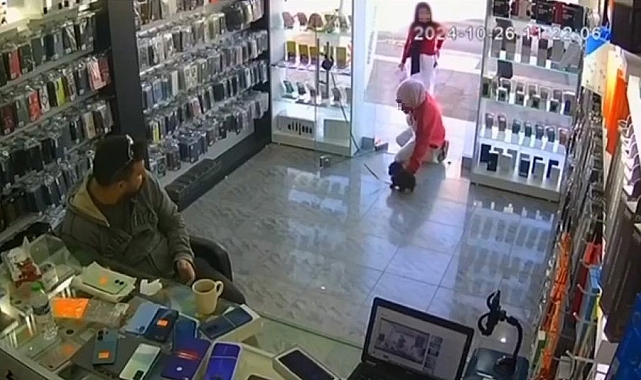 Severken ölen köpeğe otopsi yapılacak