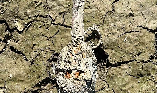 Suların çekildiği Seyhan Baraj Gölü'nde el bombası bulundu